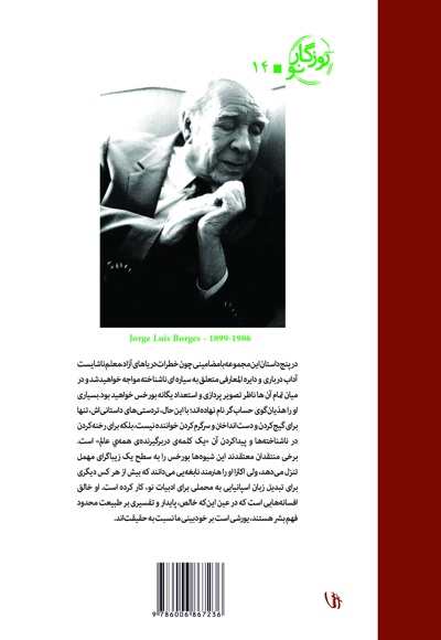 بیوه چینگ، دزد دریایی